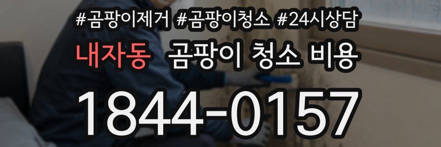 내자동 곰팡이 청소 비용