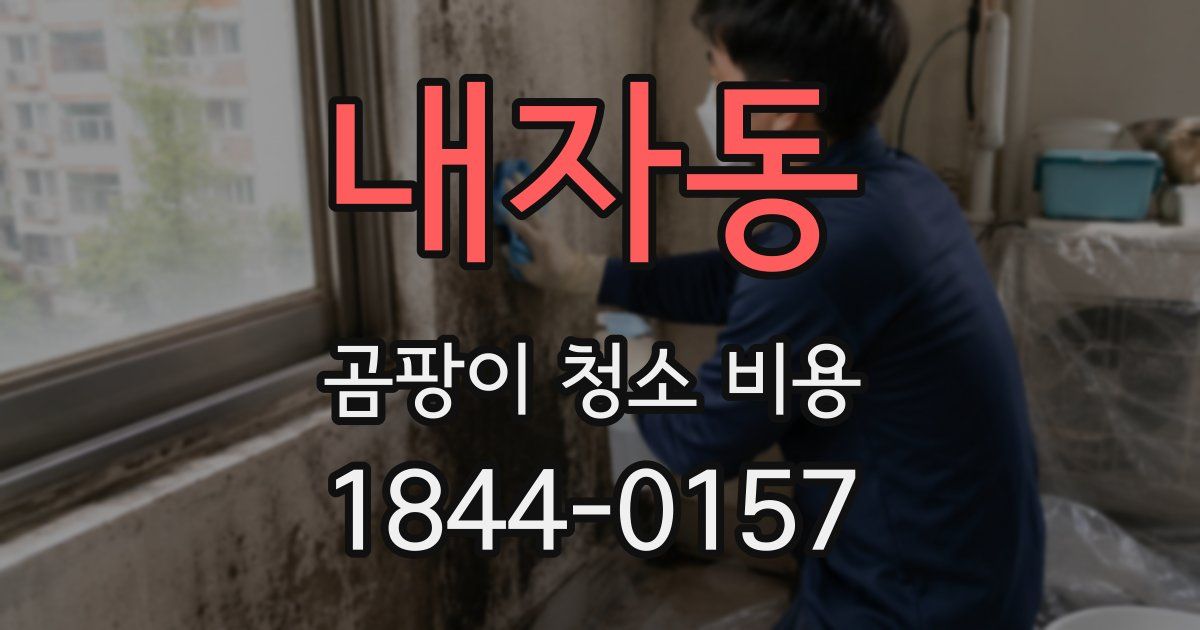내자동 곰팡이 청소 비용
