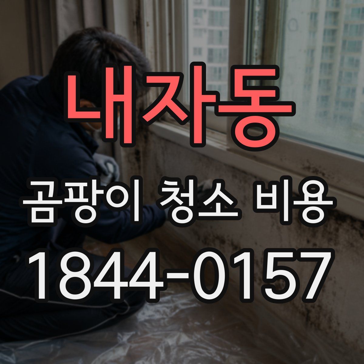 내자동 곰팡이 청소 비용