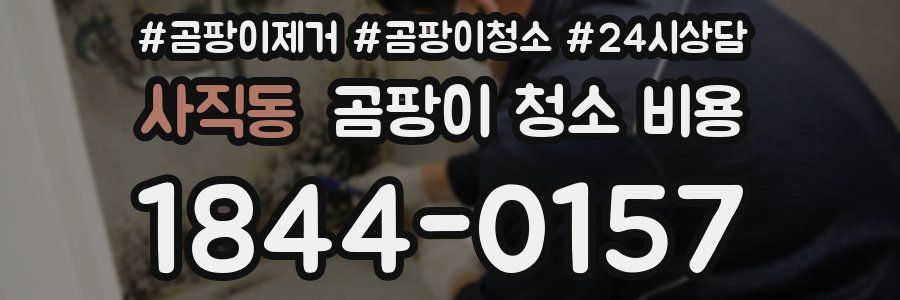 사직동 곰팡이 청소 비용