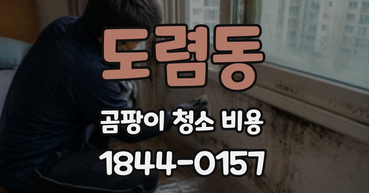도렴동 곰팡이 청소 비용