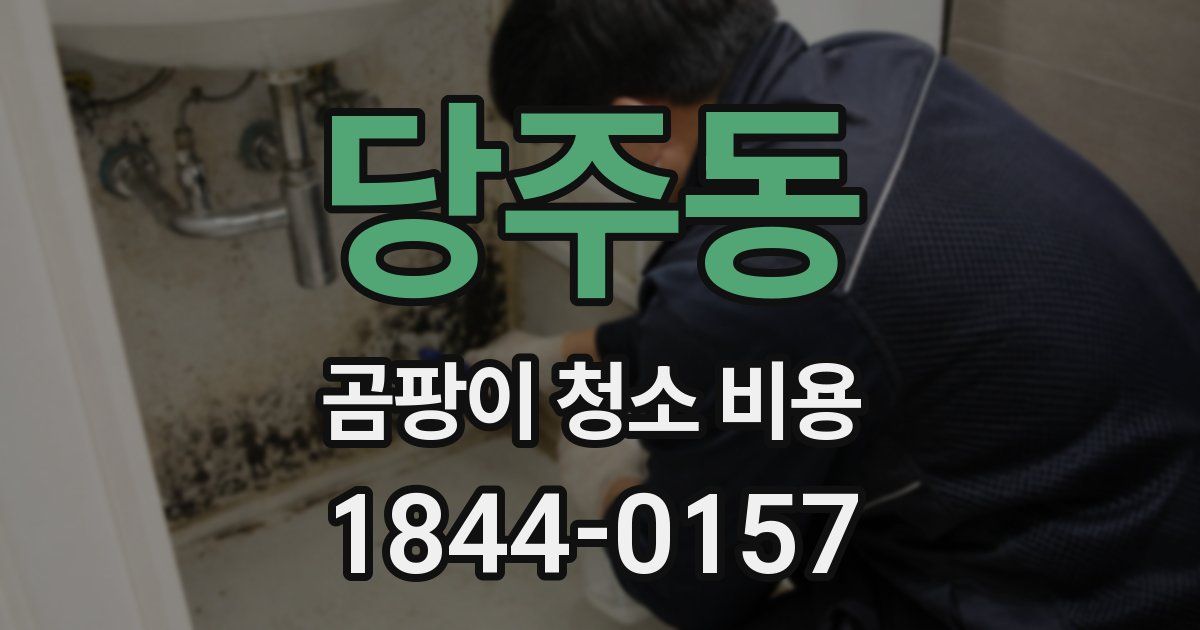 당주동 곰팡이 청소 비용