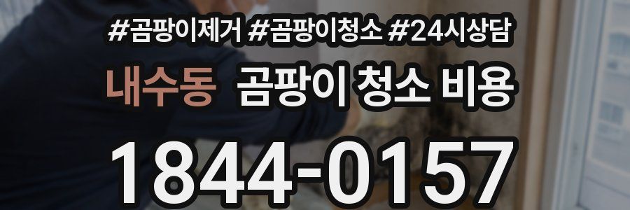 내수동 곰팡이 청소 비용