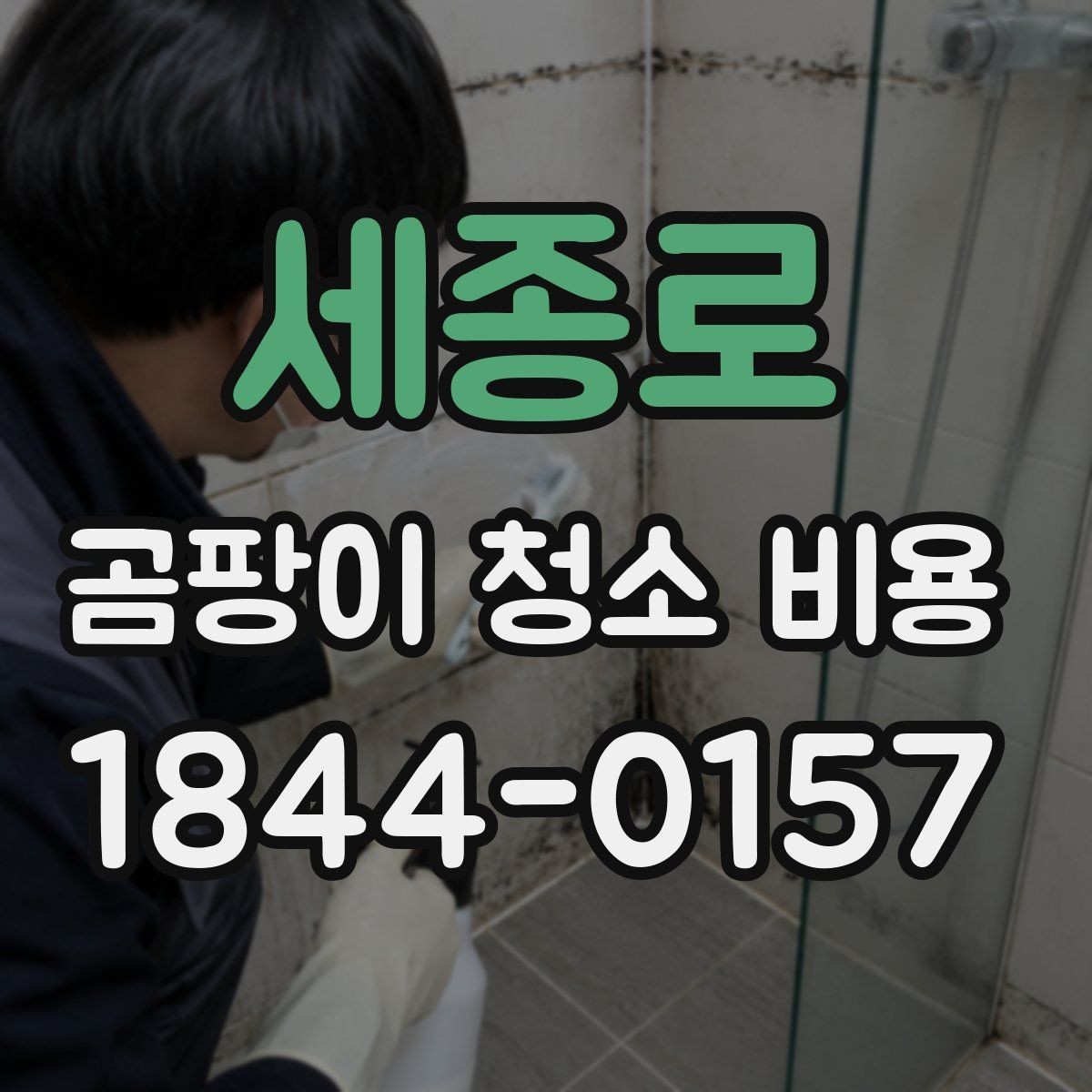 세종로 곰팡이 청소 비용 실리콘 오염이 반복되는 공간의 특징