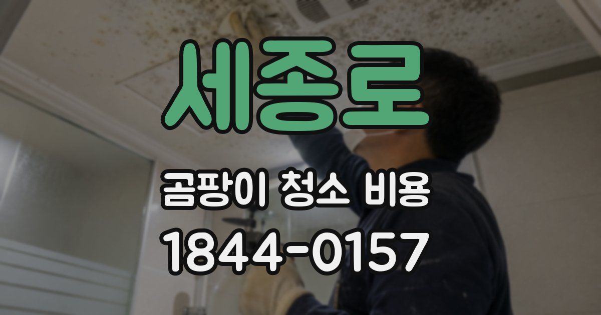 세종로 곰팡이 청소 비용
