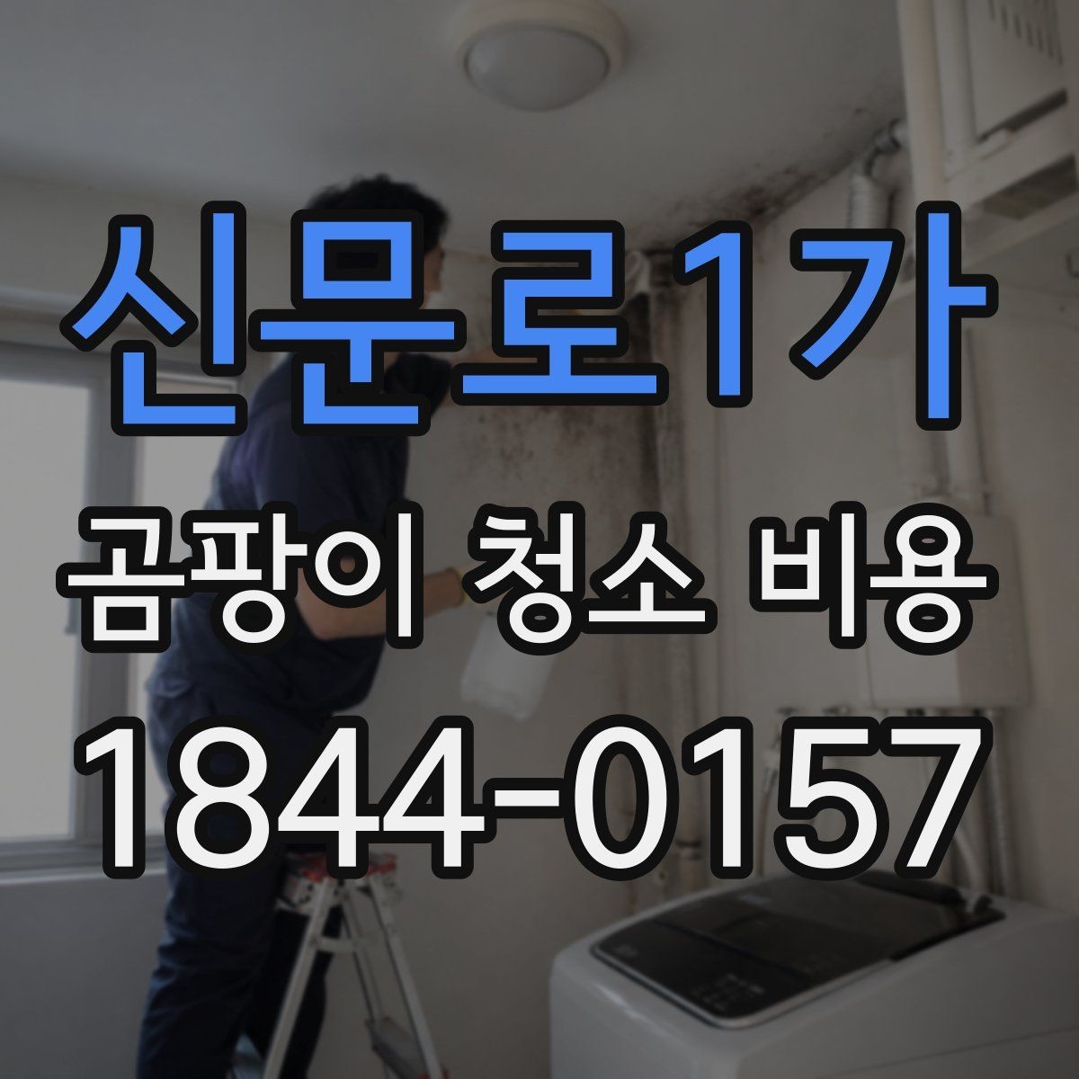 신문로1가 곰팡이 청소 비용 벽지 오염과 실리콘 재오염을 나눠 보는 이유