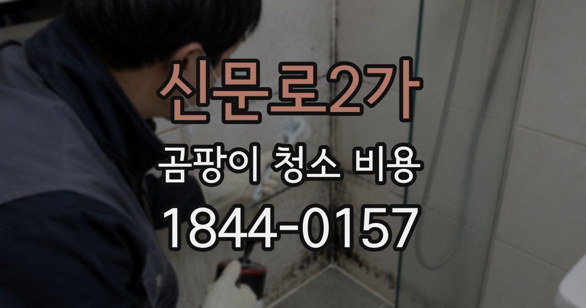 신문로2가 곰팡이 청소 비용