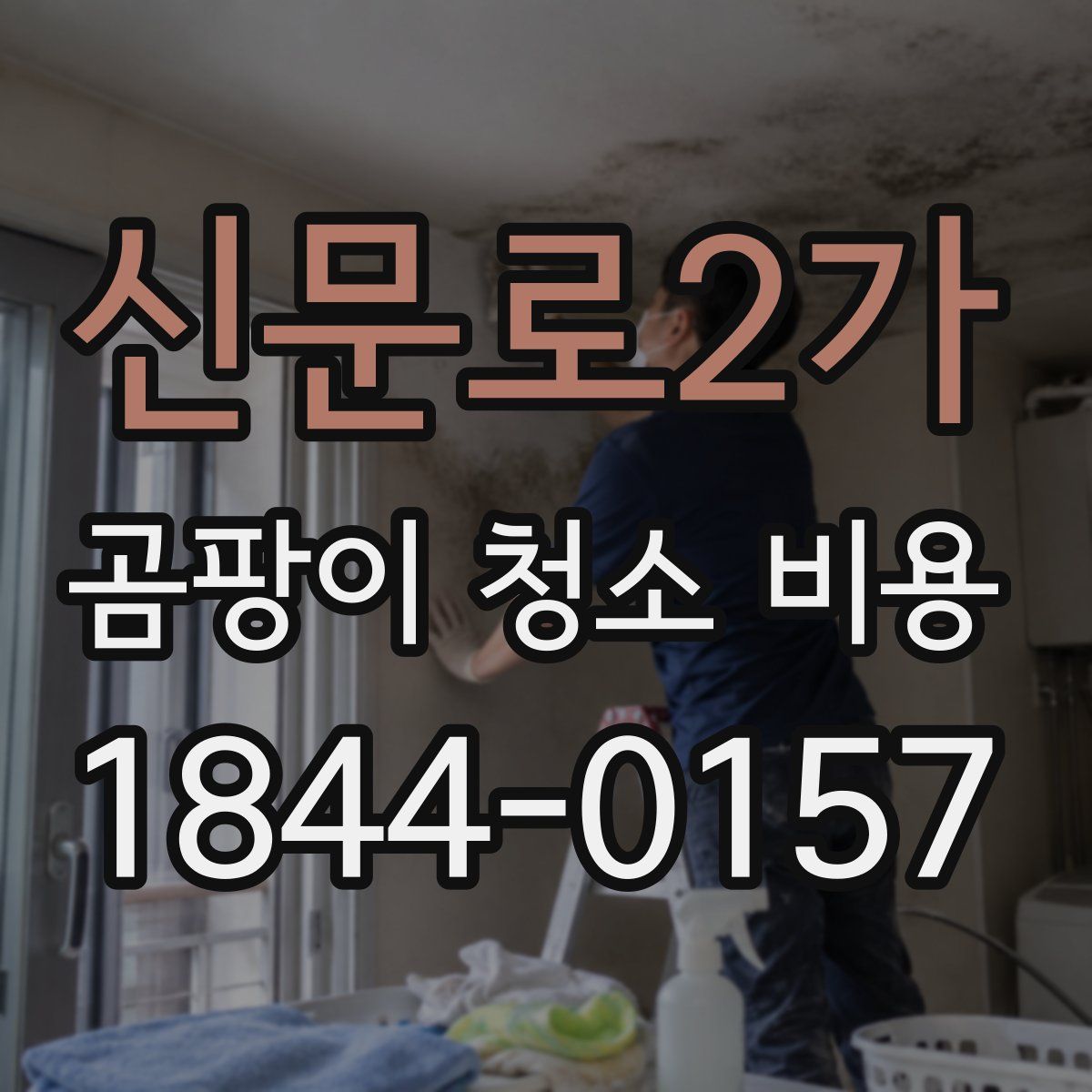 신문로2가 곰팡이 청소 비용