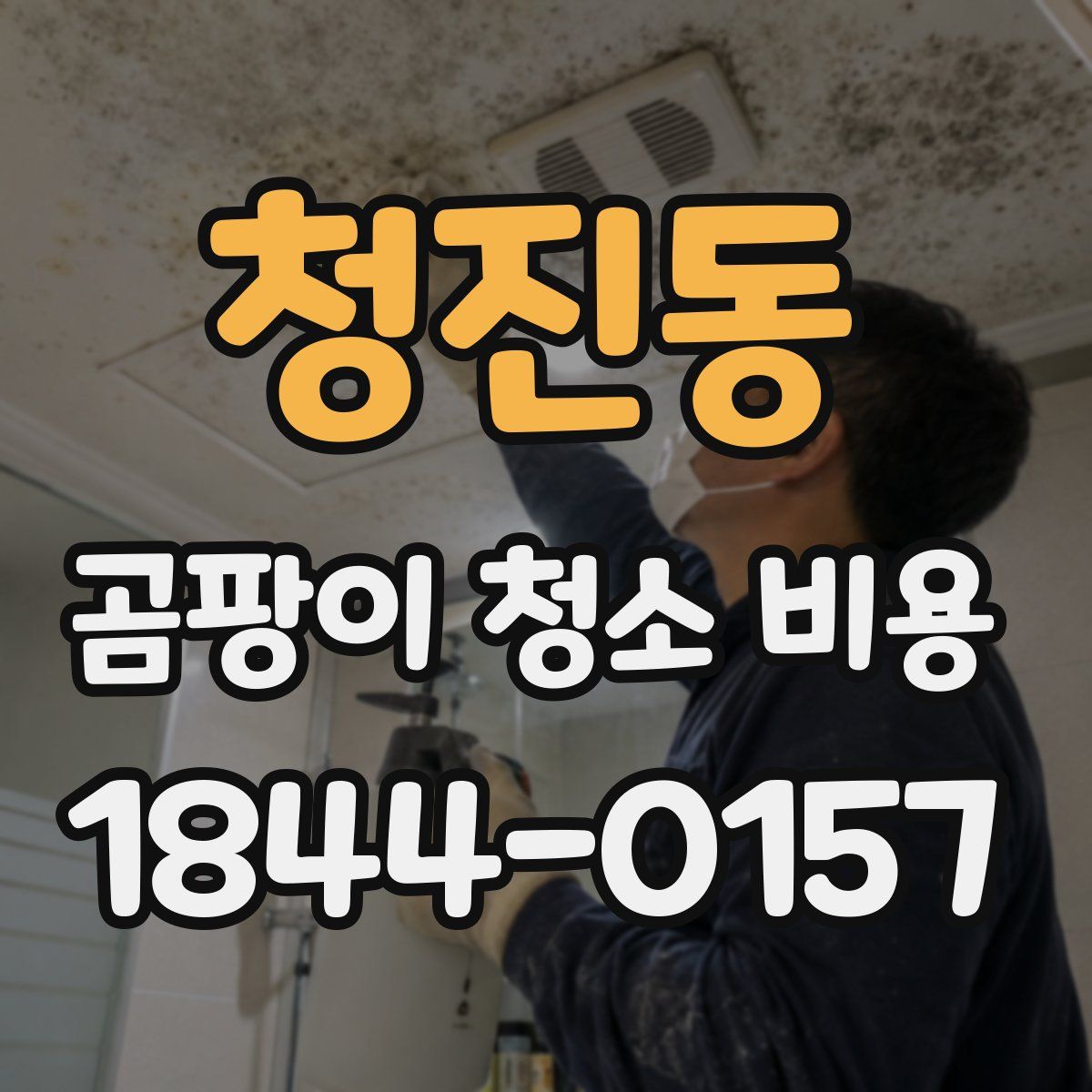 청진동 곰팡이 청소 비용