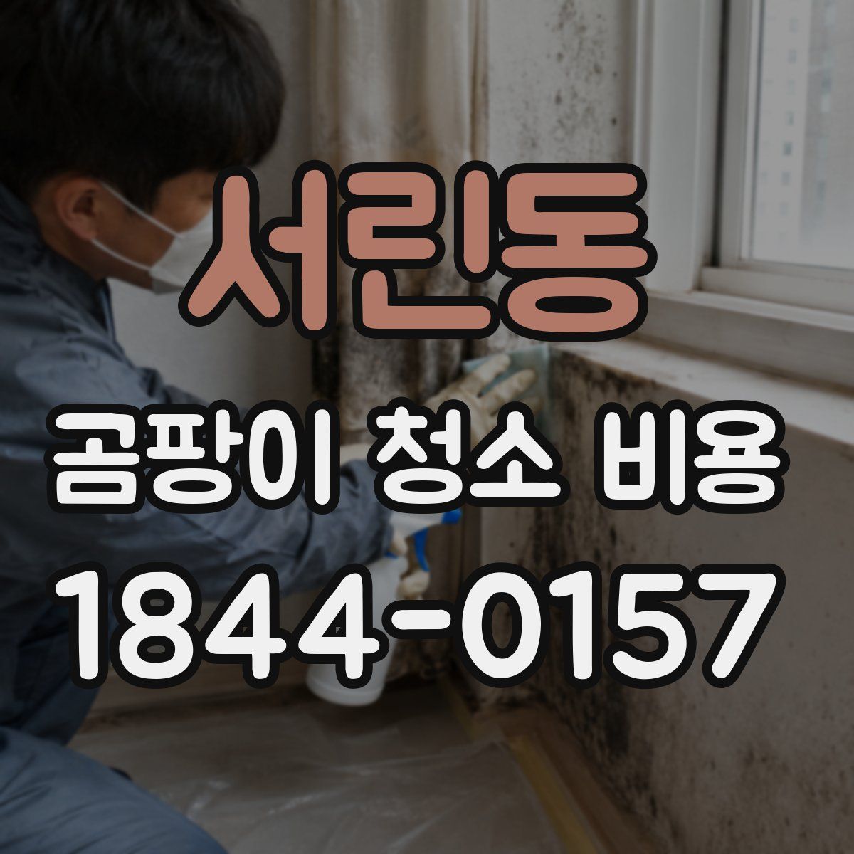 서린동 곰팡이 청소 비용