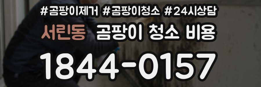 서린동 곰팡이 청소 비용