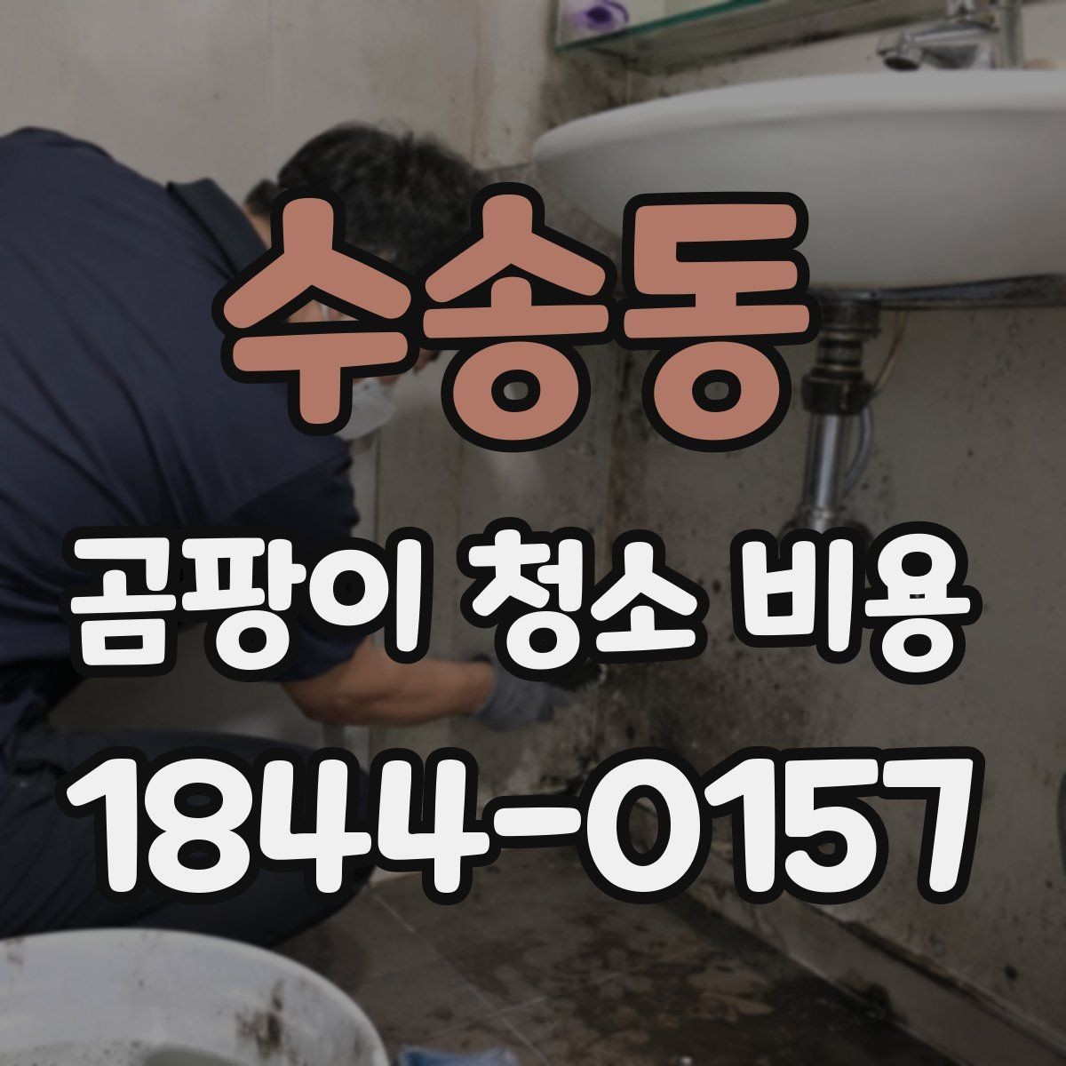 수송동 곰팡이 청소 비용 벽지 손상과 오염 번짐을 함께 보는 기준