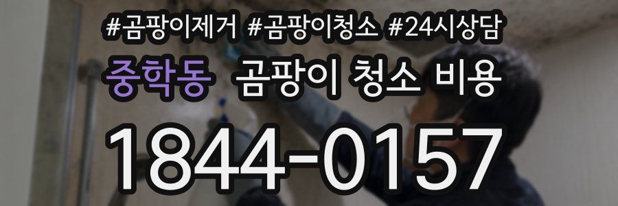 중학동 곰팡이 청소 비용