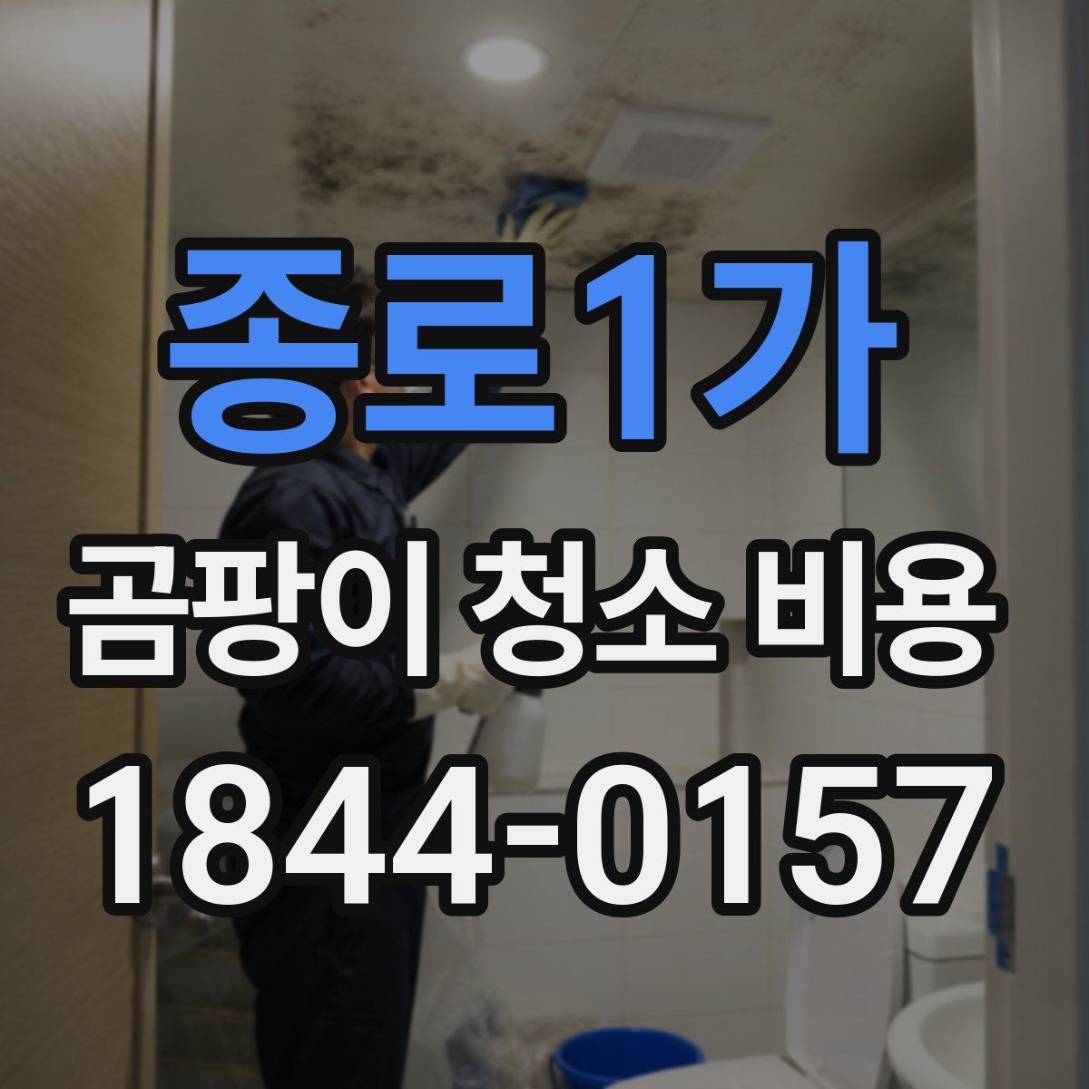 종로1가 곰팡이 청소 비용 견적 전 사진으로 볼 항목