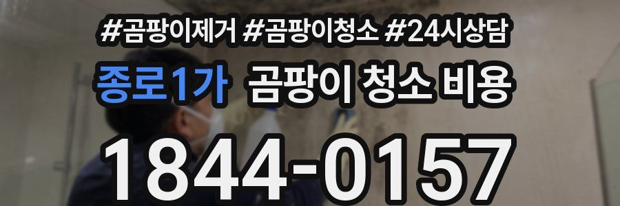 종로1가 곰팡이 청소 비용
