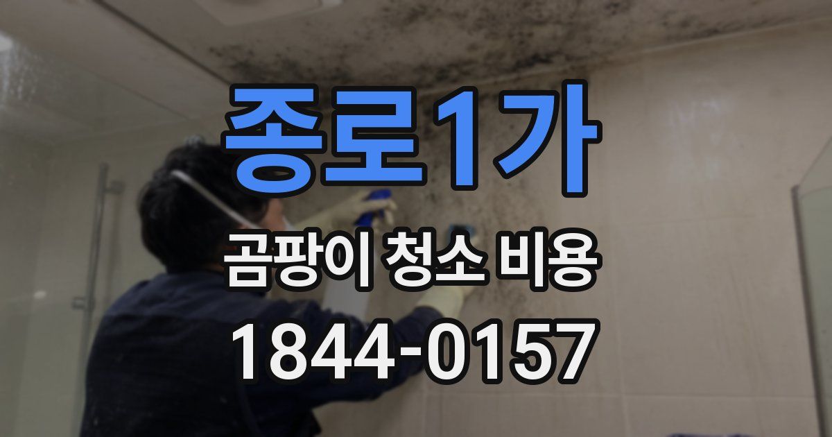 종로1가 곰팡이 청소 비용