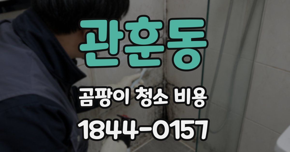 관훈동 곰팡이 청소 비용