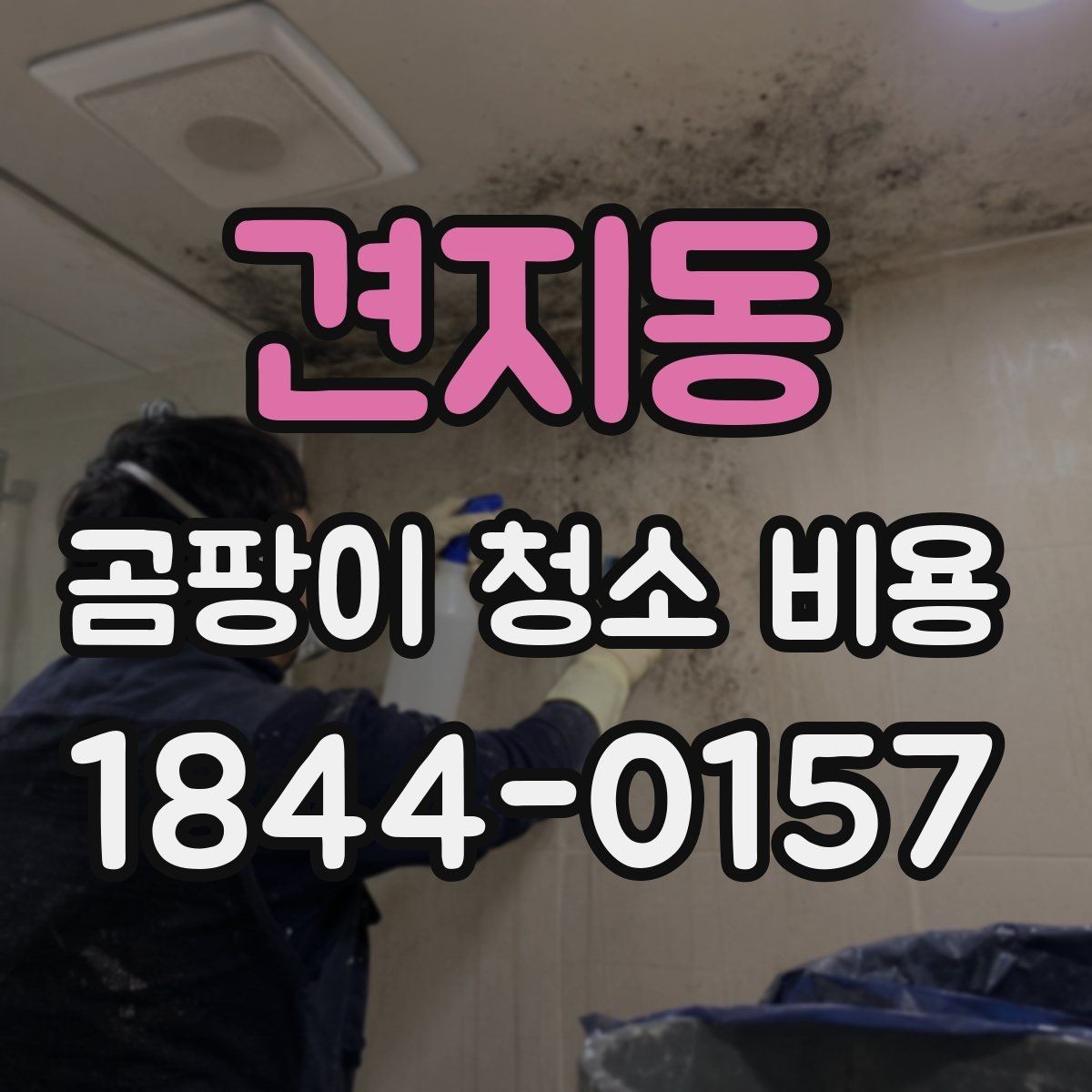 견지동 곰팡이 청소 비용 실리콘과 벽지 중 번지기 쉬운 곳 비교