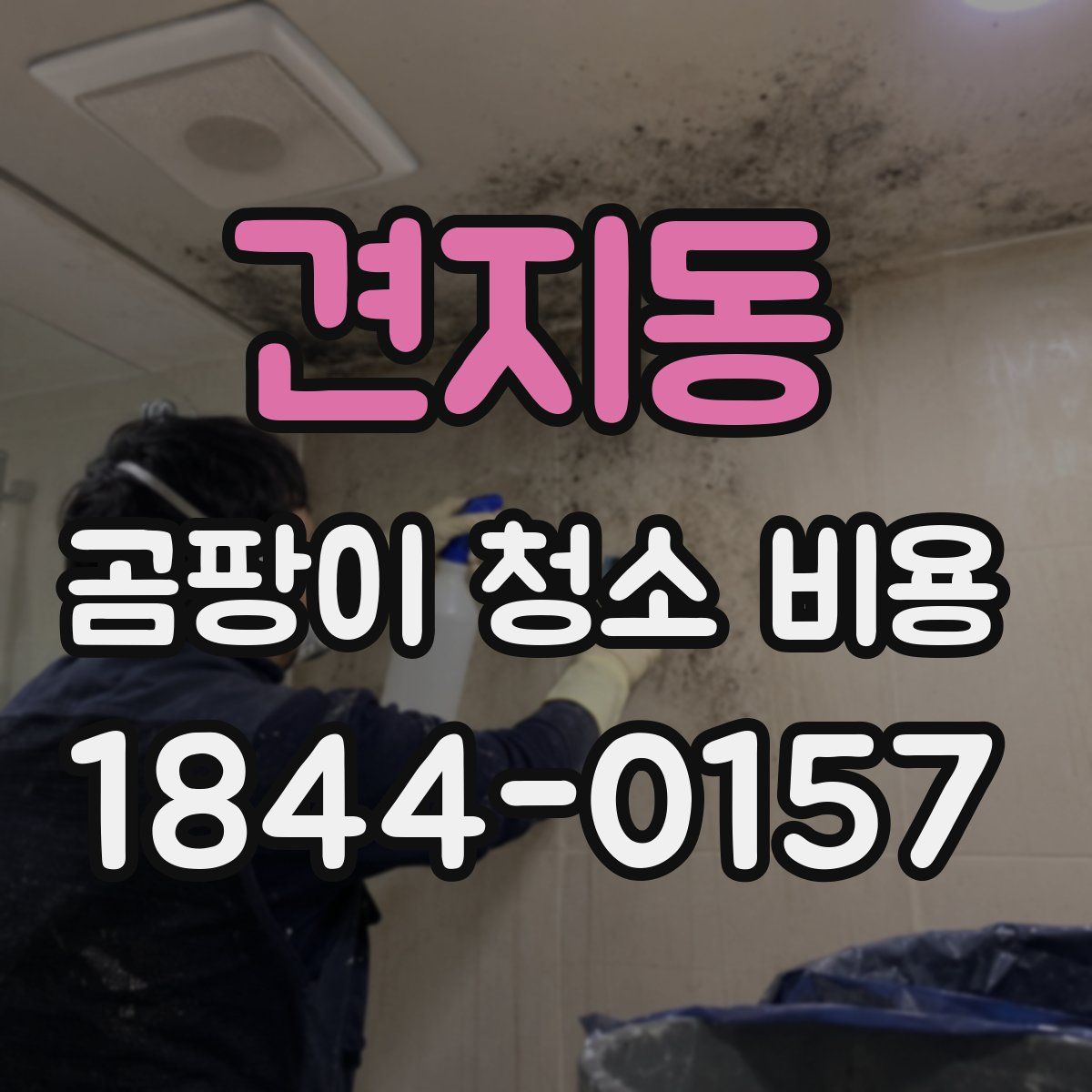 견지동 곰팡이 청소 비용
