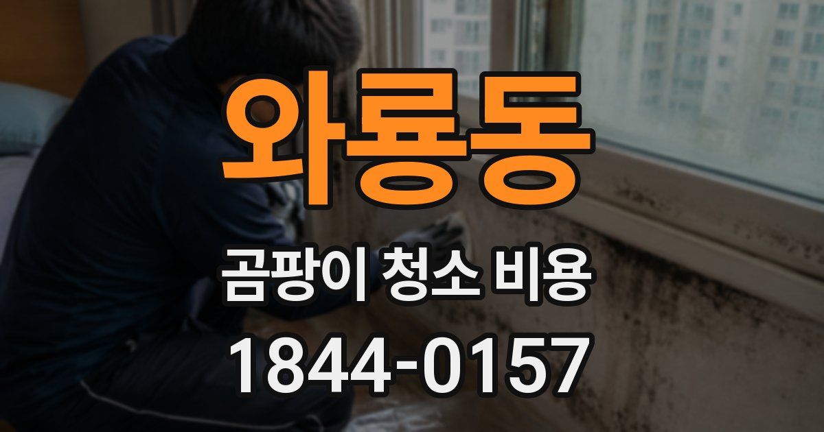 와룡동 곰팡이 청소 비용