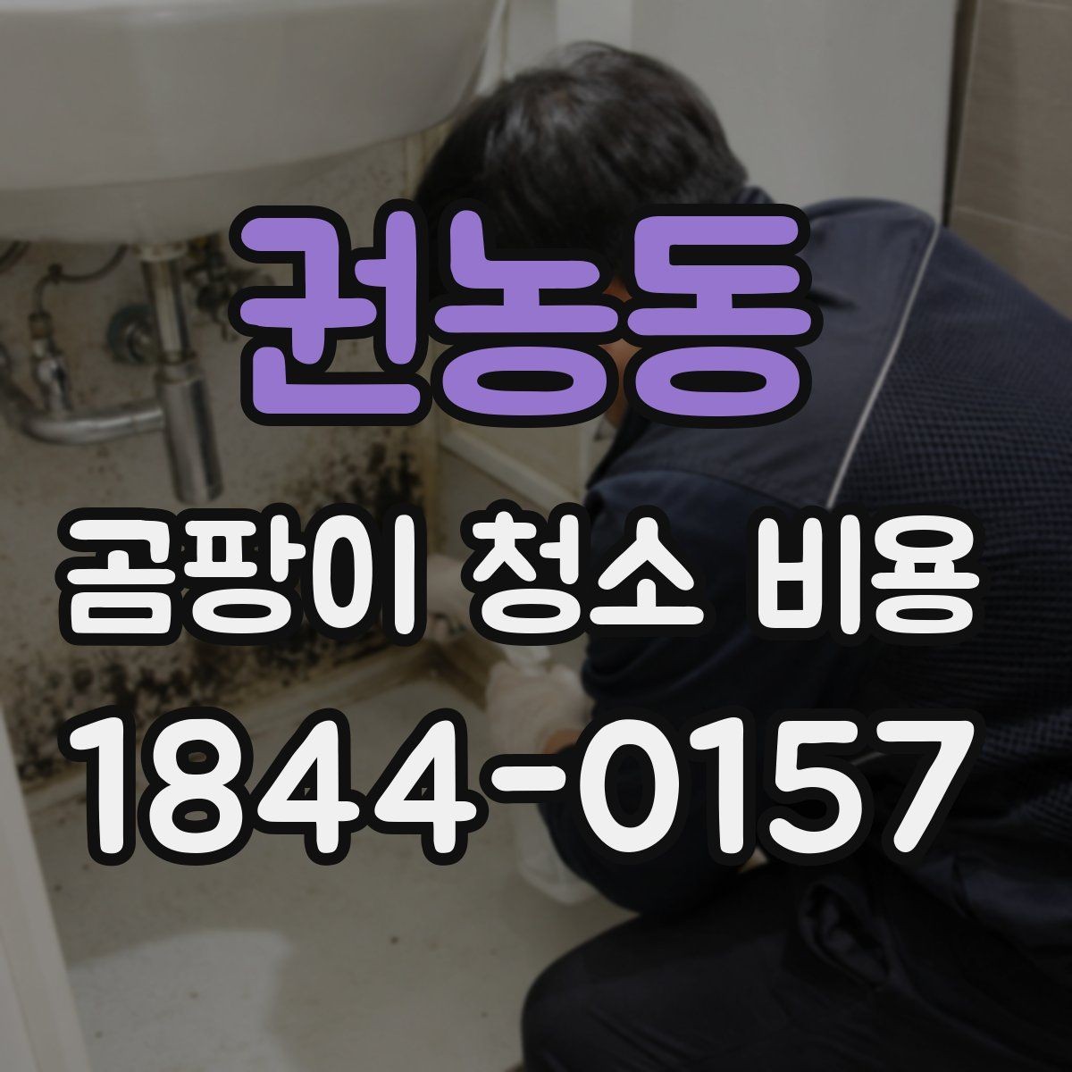 권농동 곰팡이 청소 비용 벽지 오염 정도에 따라 실제 작업이 달라지는 경우