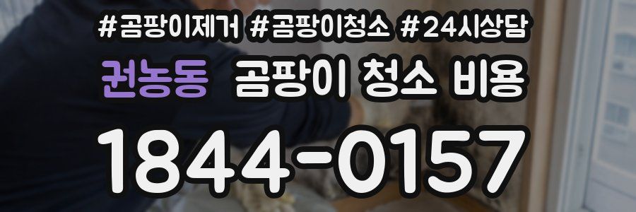 권농동 곰팡이 청소 비용