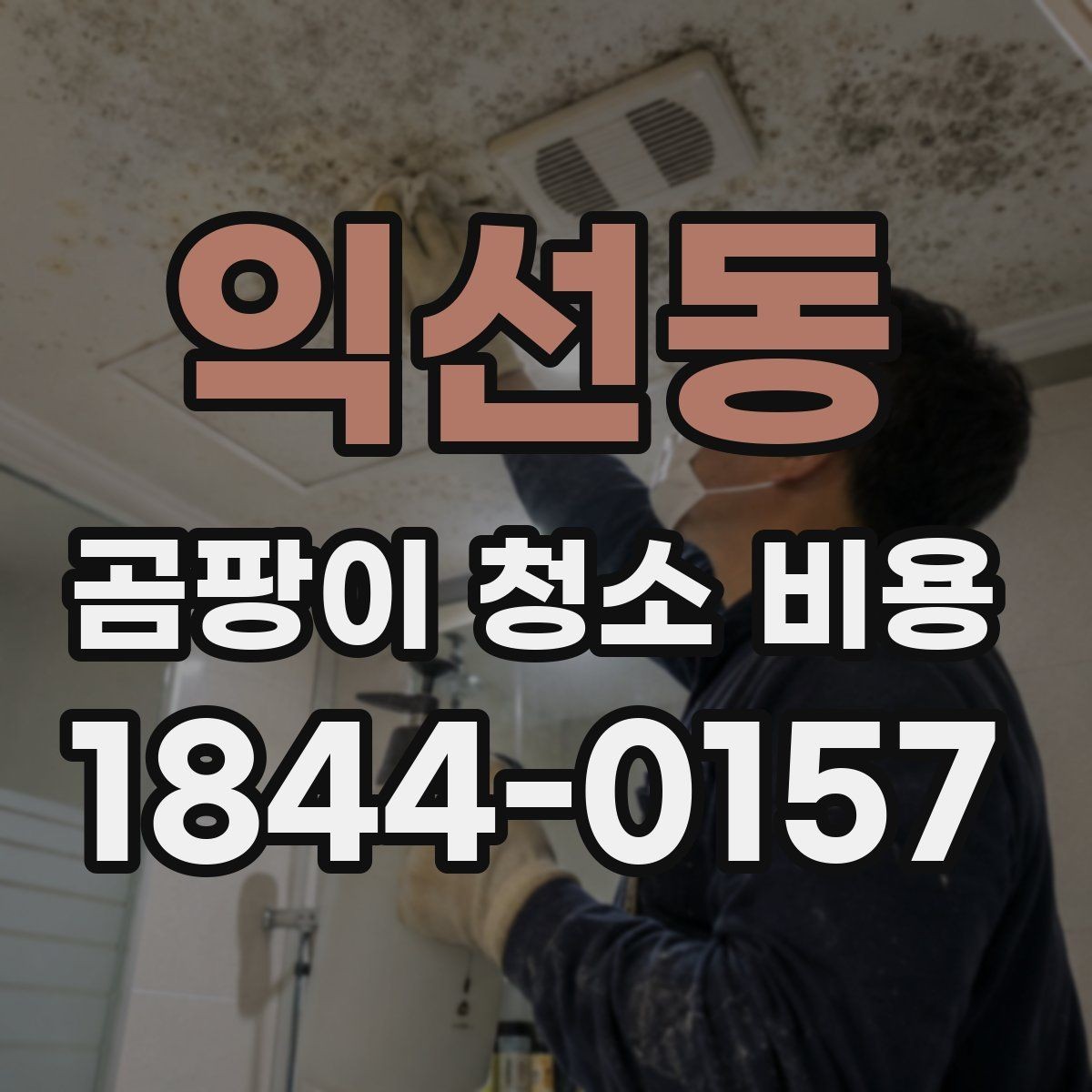 익선동 곰팡이 청소 비용 부분 청소로 충분한지 판단하는 기준