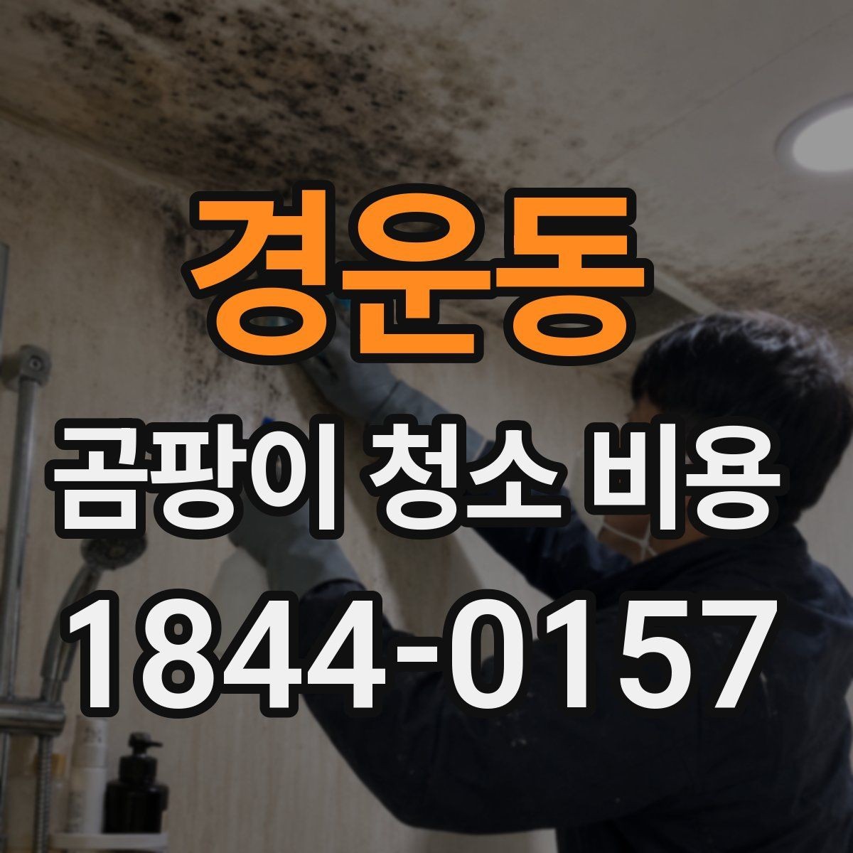 경운동 곰팡이 청소 비용 벽지와 실리콘 오염을 구분해 보는 방법