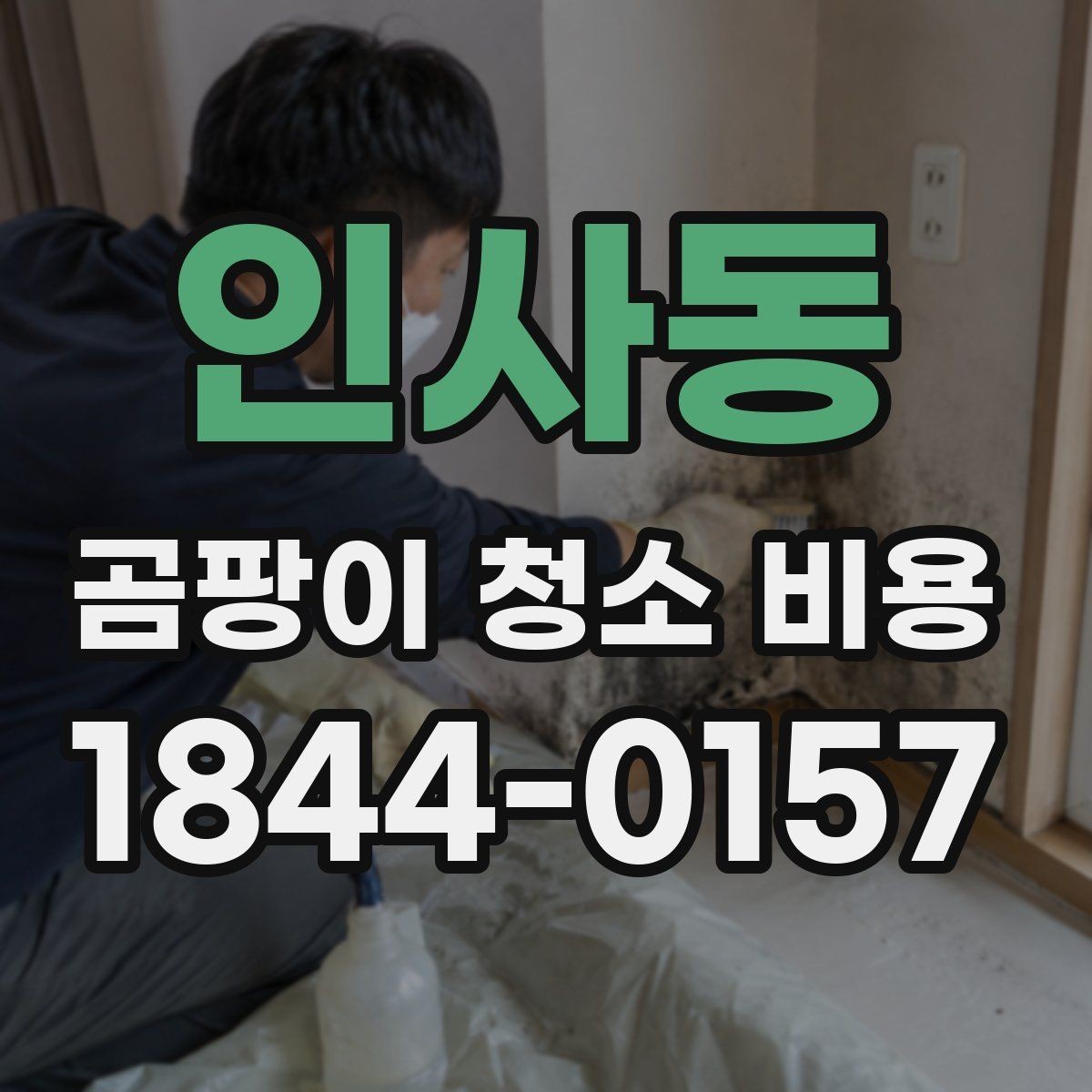 인사동 곰팡이 청소 비용 벽지와 실리콘 오염 차이를 현장 기준으로 보기