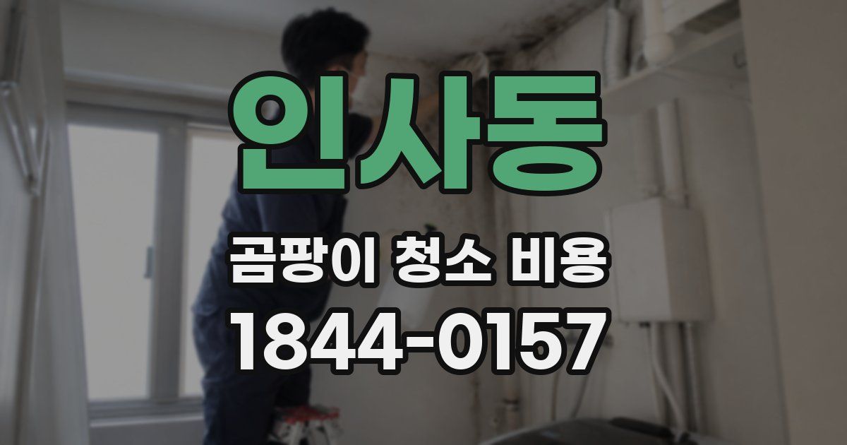 인사동 곰팡이 청소 비용