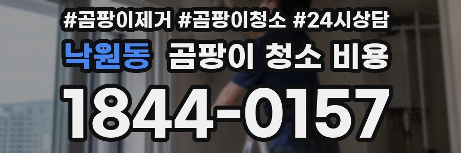 낙원동 곰팡이 청소 비용