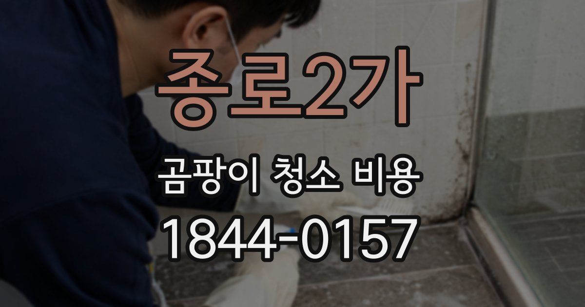 종로2가 곰팡이 청소 비용