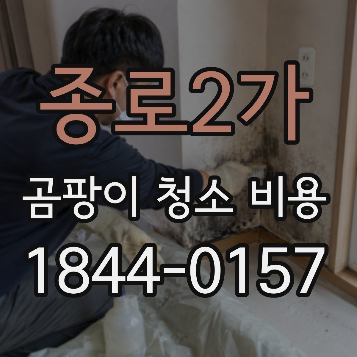 종로2가 곰팡이 청소 비용
