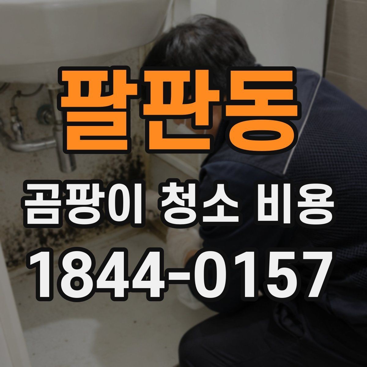 팔판동 곰팡이 청소 비용 천장과 몰딩 주변이 더 비싸지는 경우