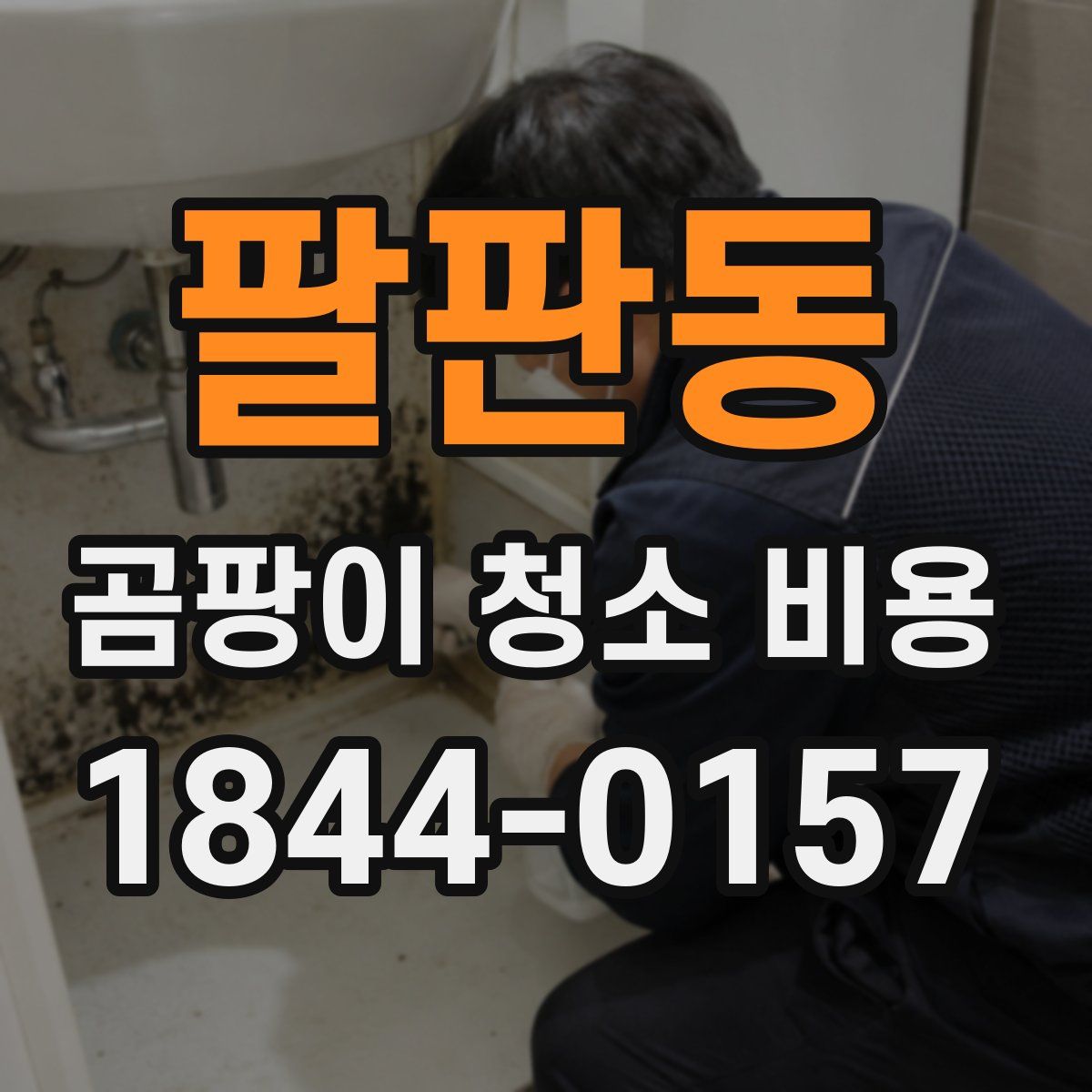 팔판동 곰팡이 청소 비용