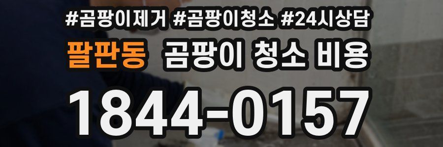 팔판동 곰팡이 청소 비용