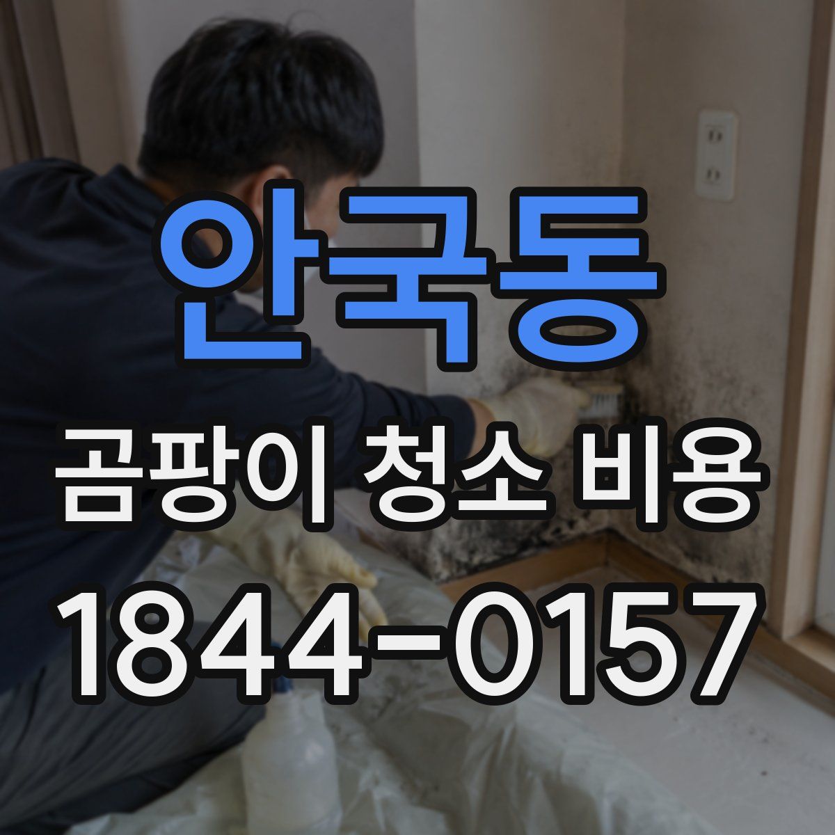 안국동 곰팡이 청소 비용