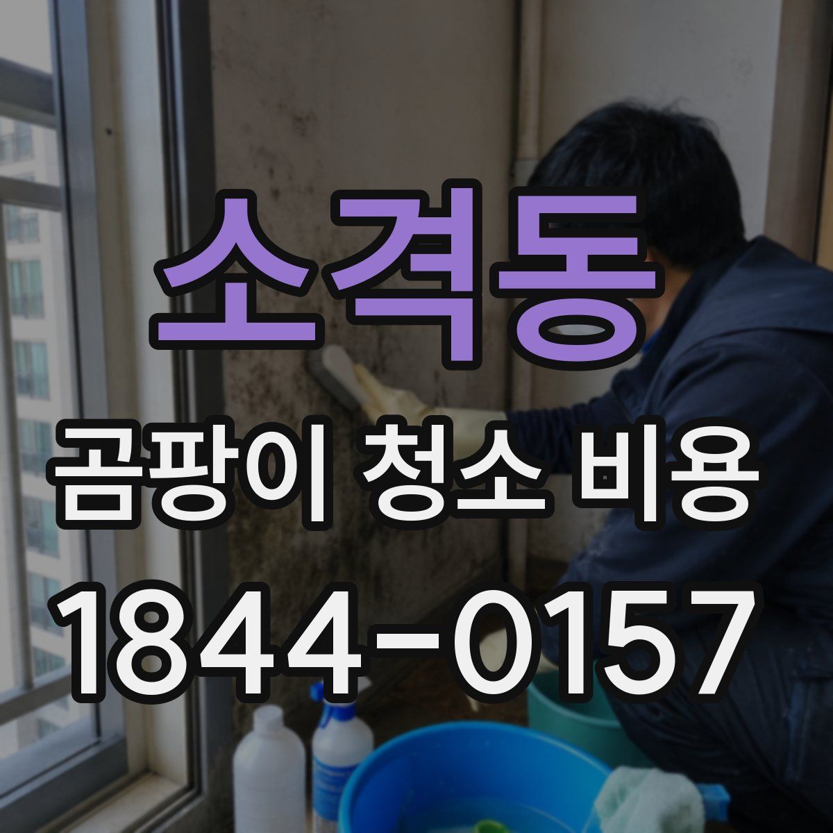 소격동 곰팡이 청소 비용