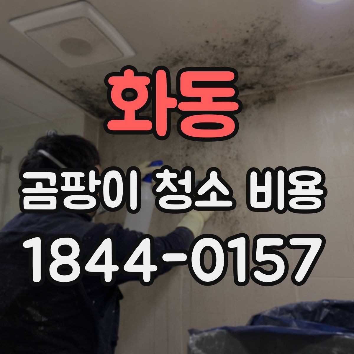 화동 곰팡이 청소 비용 침실 벽면 오염 단계별 확인