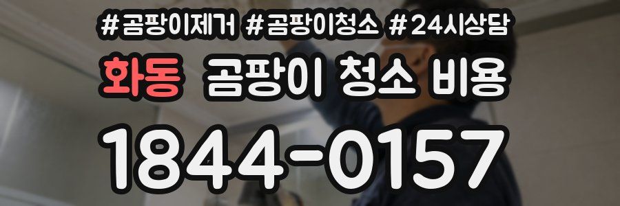 화동 곰팡이 청소 비용