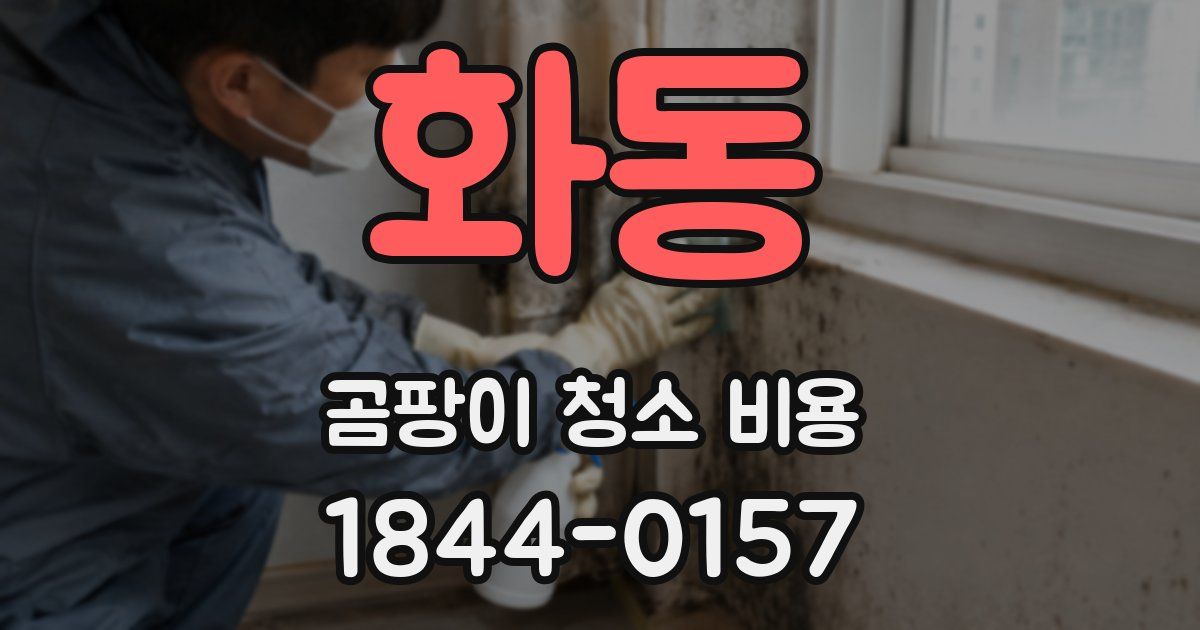 화동 곰팡이 청소 비용
