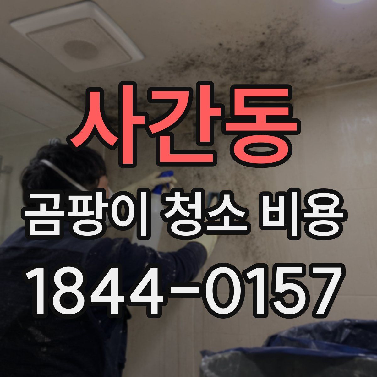 사간동 곰팡이 청소 비용