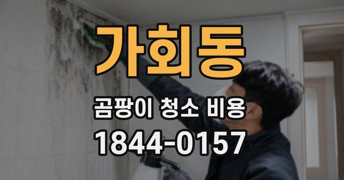 가회동 곰팡이 청소 비용