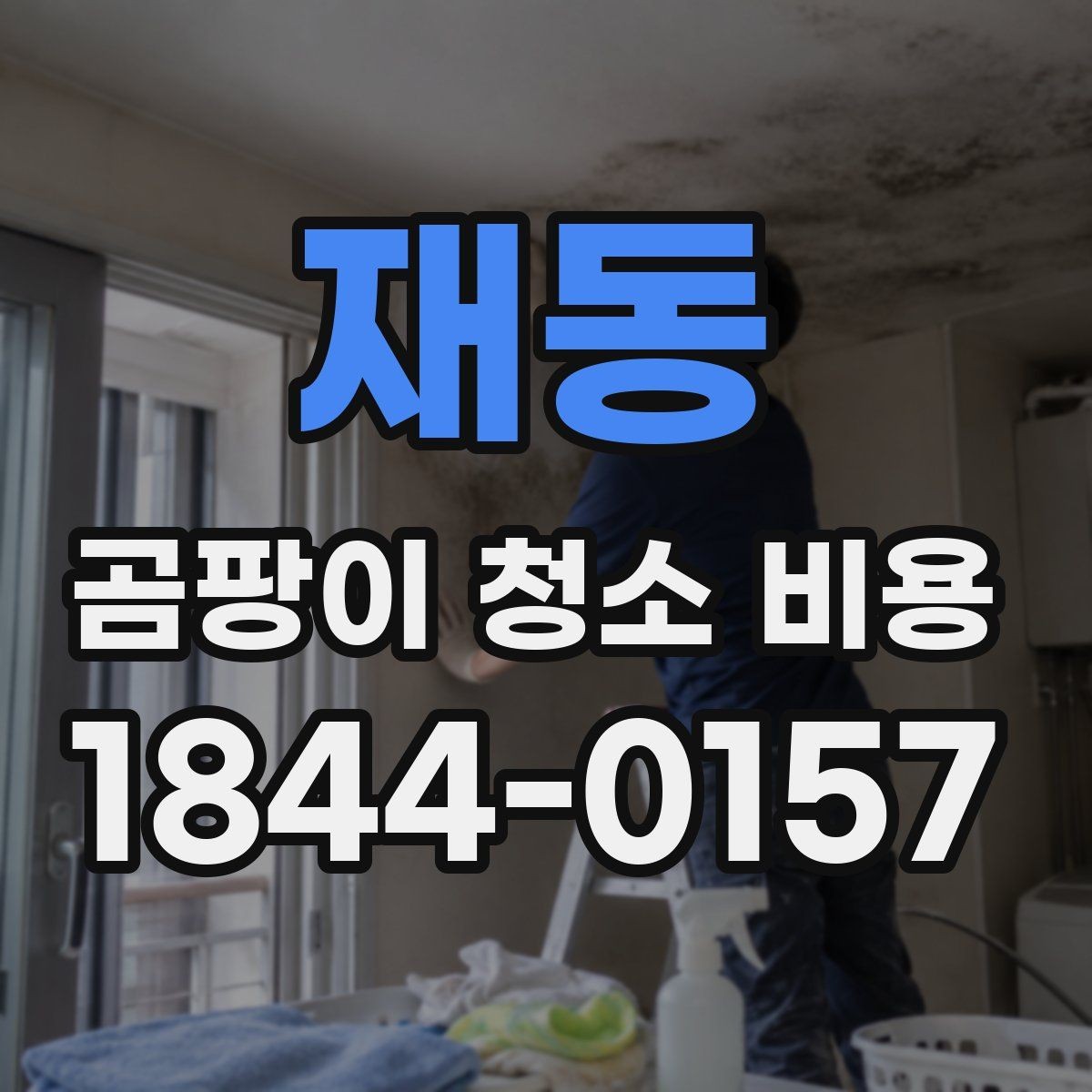 재동 곰팡이 청소 비용 결로 흔적이 있을 때 먼저 볼 점검 항목