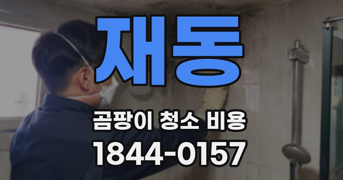 재동 곰팡이 청소 비용