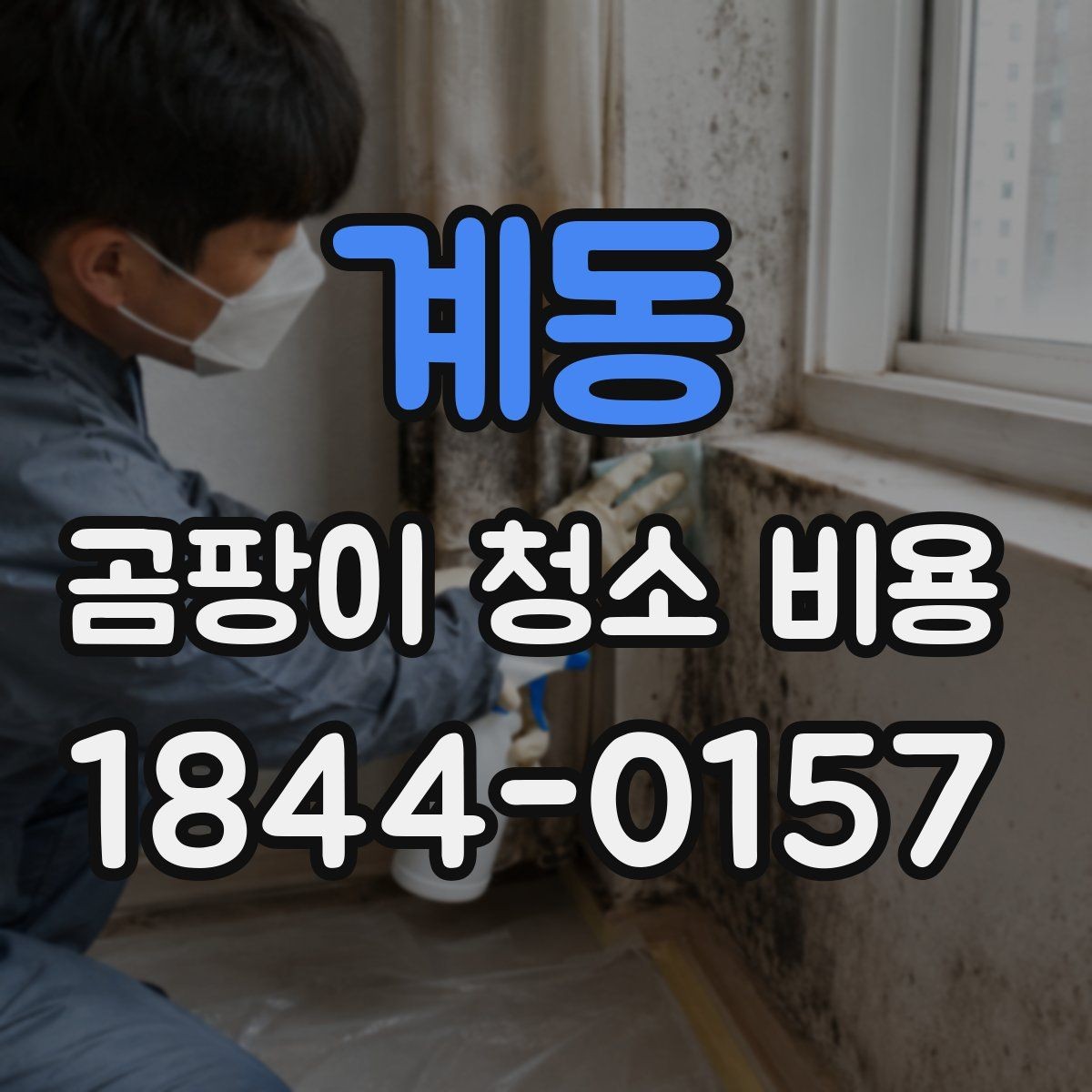 계동 곰팡이 청소 비용 약품 농도와 환기 관리가 중요한 이유