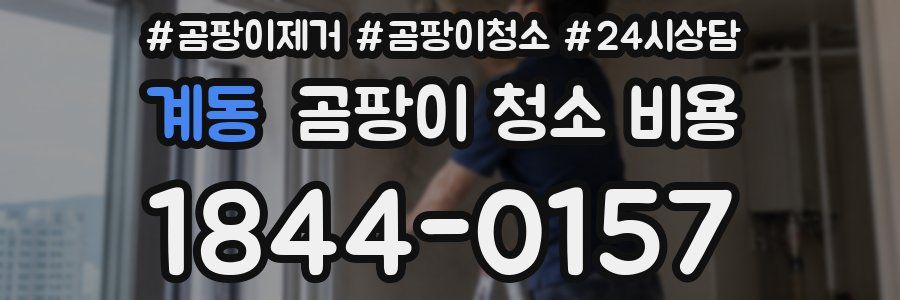 계동 곰팡이 청소 비용