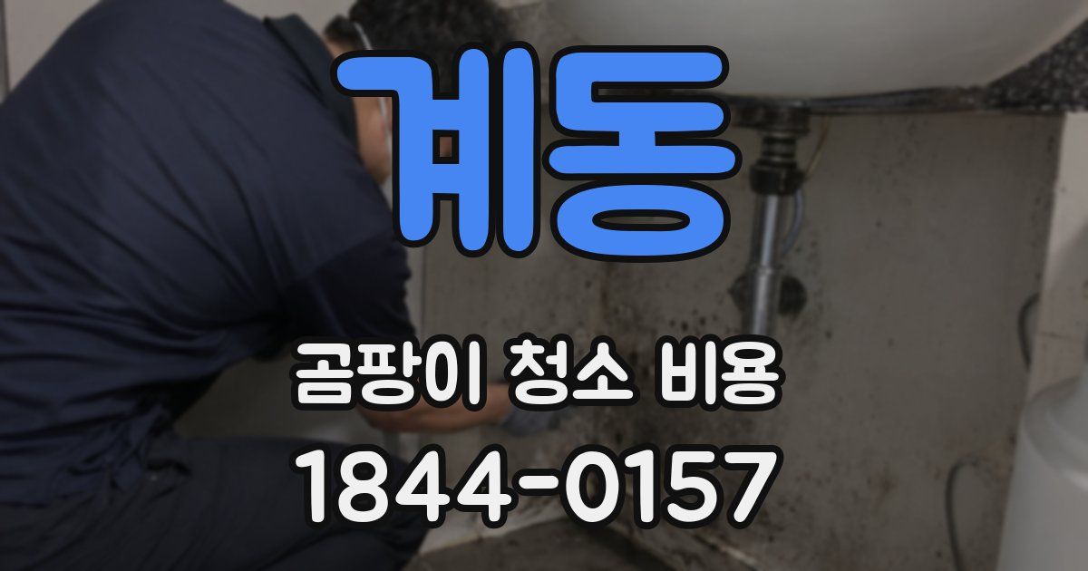 계동 곰팡이 청소 비용