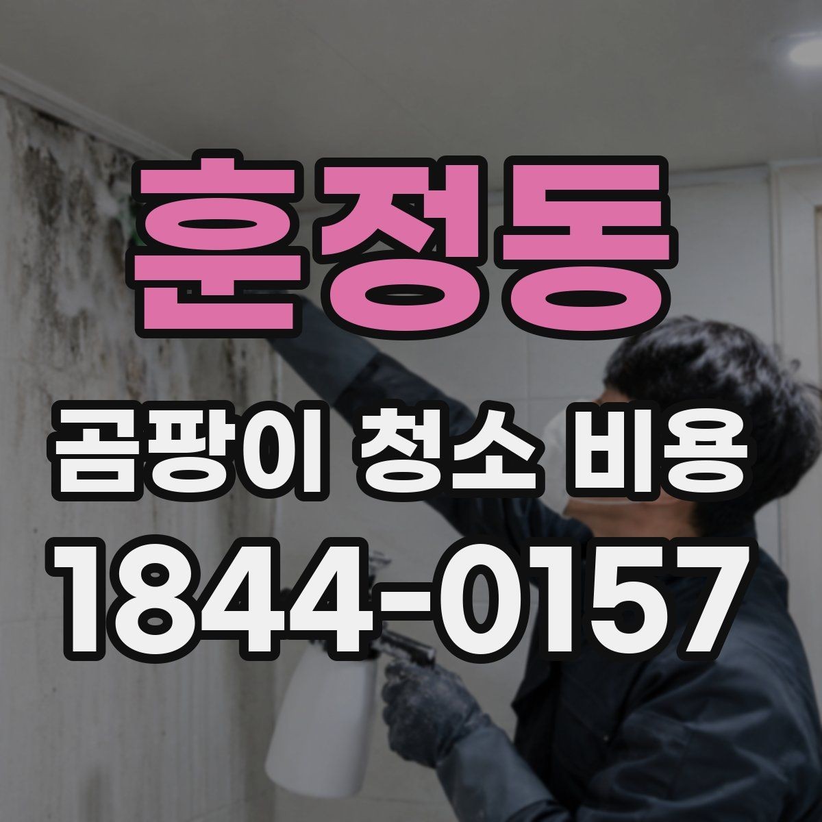훈정동 곰팡이 청소 비용 면적은 어떻게 재나