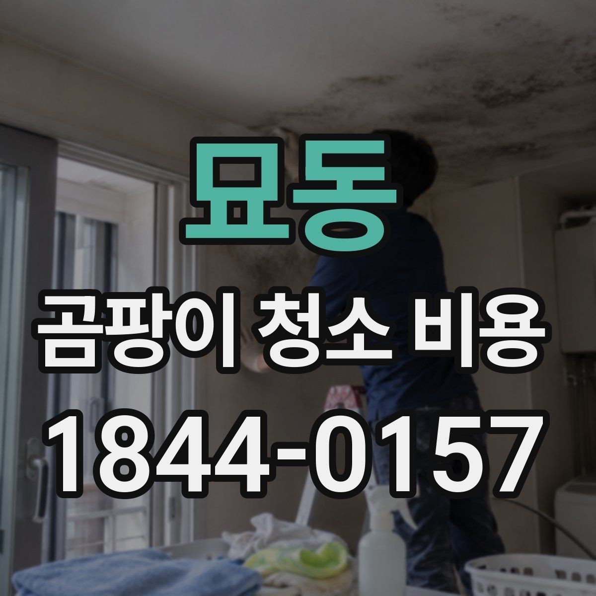 묘동 곰팡이 청소 비용 약품 처리 뒤 환기 관리까지 함께 챙기는 법